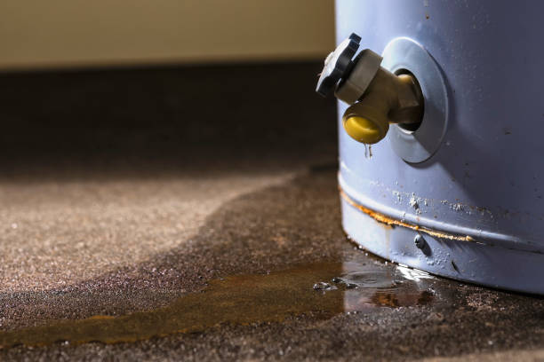 Best Water damage contractors near me  in Westville, OK