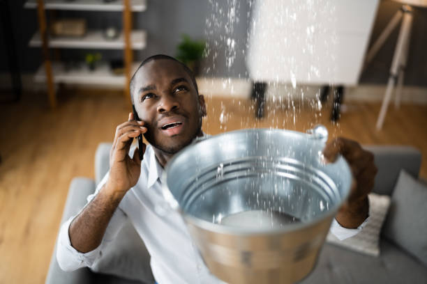 Best Basement water damage restoration  in Westville, OK