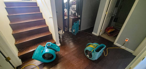 Best Water damage restoration company  in Westville, OK