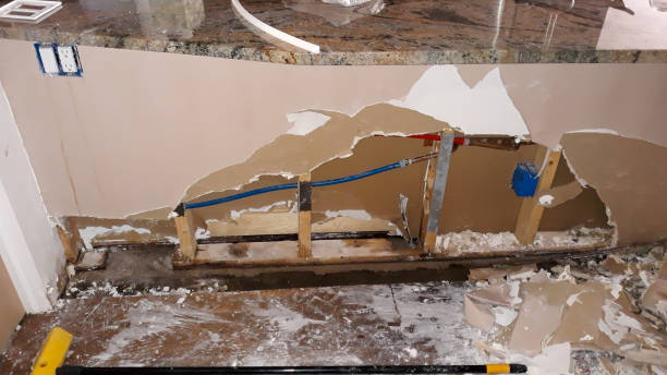 Best Professional water damage repair  in Westville, OK
