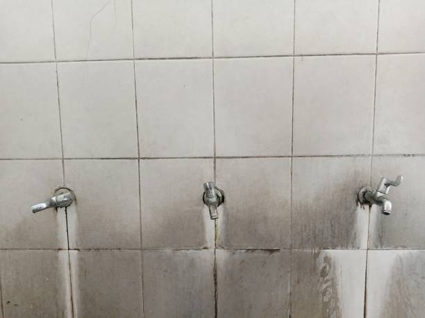 Best Water damage restoration specialists  in Westville, OK