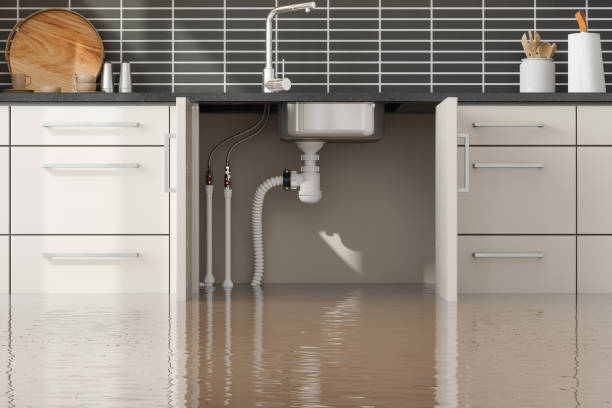 Best Fire Damage Restoration  in Westville, OK