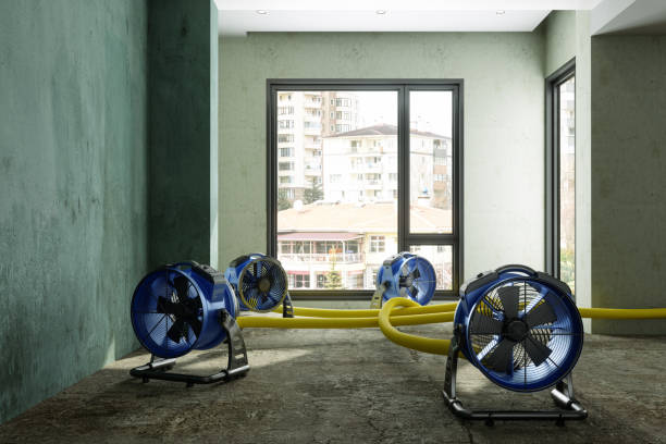 Best Carpet water damage restoration  in Westville, OK