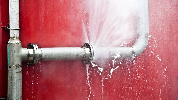 Best Local water damage restoration  in Westville, OK